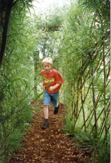 boy in willow tunnel
